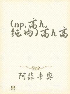 (np,高h,纯肉)高h高辣文
