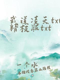 武道凌天txt精校版txt