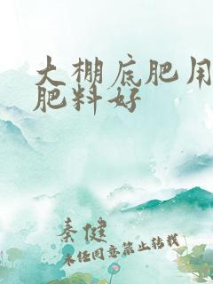 大棚底肥用什么肥料好