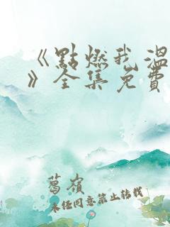 《点燃我温暖你》全集免费观看
