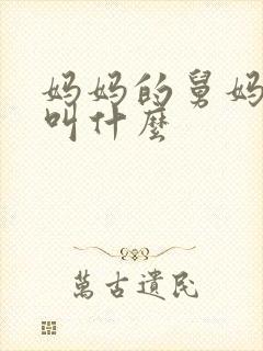 妈妈的舅妈孩子叫什么