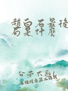 赵白石最后的结局是什么