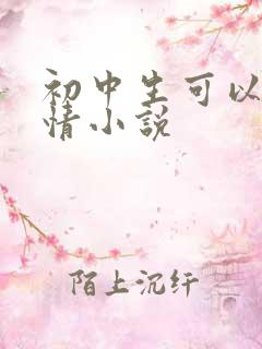 初中生可以看言情小说