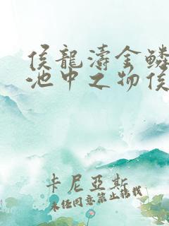 侯龙涛金鳞岂是池中之物侯龙涛与何莉萍