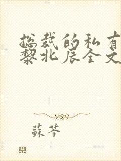 总裁的私有宝贝黎北辰全文免费阅读全文