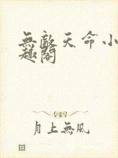 无敌天命小说笔趣阁