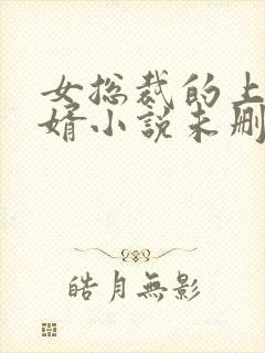 女总裁的上门女婿小说未删版