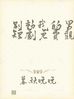 别动我的男主角短剧免费观看全集