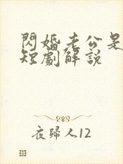 闪婚老公是总裁短剧解说