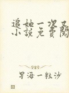 追她一次又一次小说免费阅读全文