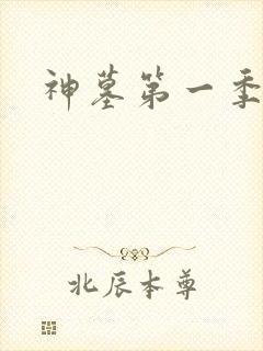 神墓第一季全集