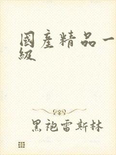 国产精品一级三级