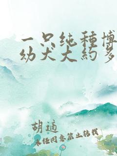 一只纯种博美狗幼犬大约多少钱