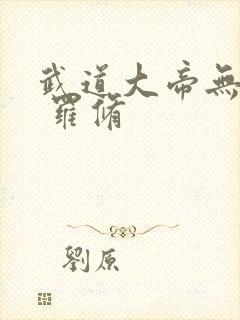 武道大帝无弹窗 罗修