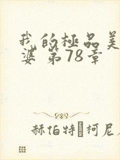 我的极品美女老婆 第78章