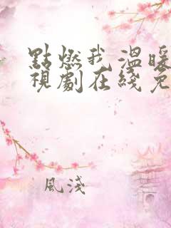 点燃我温暖你电视剧在线免费观看
