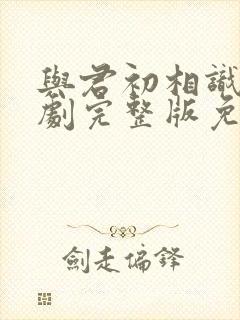 与君初相识电视剧完整版免费高清