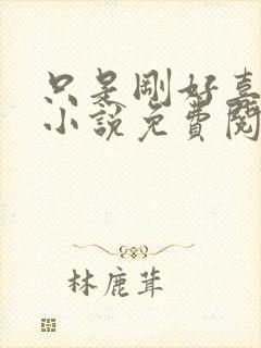 只是刚好喜欢你小说免费阅读全文