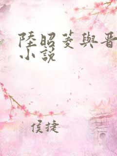 陆昭菱与晋王的小说