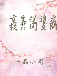 重生从追求青涩校花同桌开始作者痞子老妖