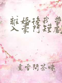 离婚后我带崽嫁入豪门短剧