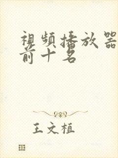视频播放器排名前十名