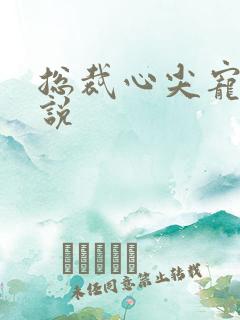 总裁心尖宠 小说
