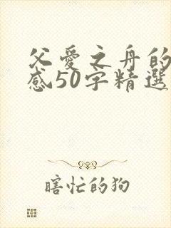 父爱之舟的读后感50字精选