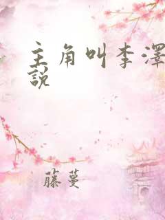 主角叫李泽的小说