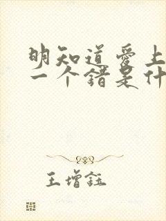 明知道爱上你是一个错是什么歌