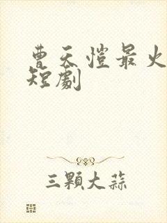 曹天恺最火十部短剧