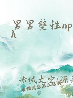 男男双性np高h