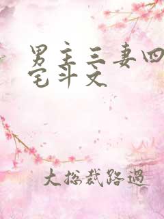 男主三妻四妾的宅斗文