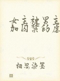 女主被男主qj加囚禁的虐文