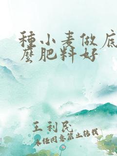 种小麦做底肥什么肥料好