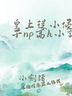 皇上从小侵犯太子np高h小说