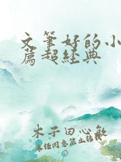 文笔好的小说推荐超经典