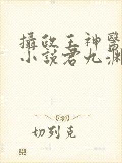 摄政王神医狂妃小说君九渊