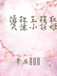 摄政王强取豪夺失忆小说姬燕