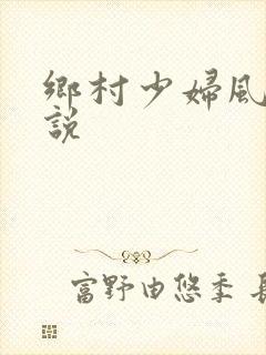 乡村少妇风流小说