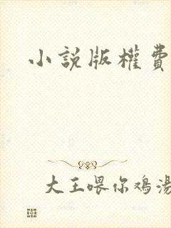 小说版权费用