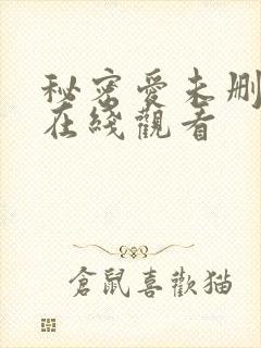 秘密爱未删减版在线观看