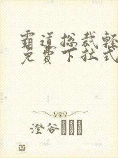 霸道总裁轻轻爱免费下拉式漫画