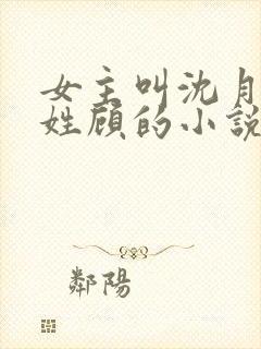 女主叫沈月男主姓顾的小说