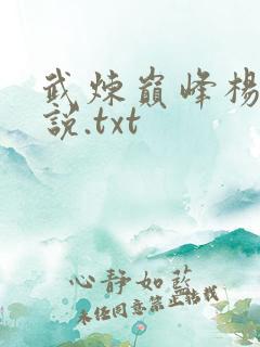 武炼巅峰杨开小说.txt