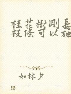 桂花树刚长出新枝条可以施什么肥料