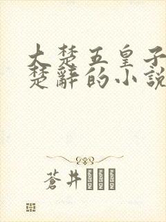大楚五皇子北冥楚辞的小说叫什么