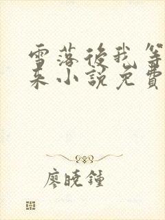 雪落后我等你归来小说免费阅读