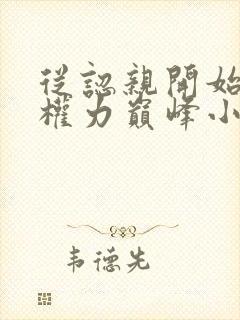 从认亲开始踏上权力巅峰小说全集