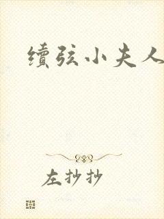 续弦小夫人完结